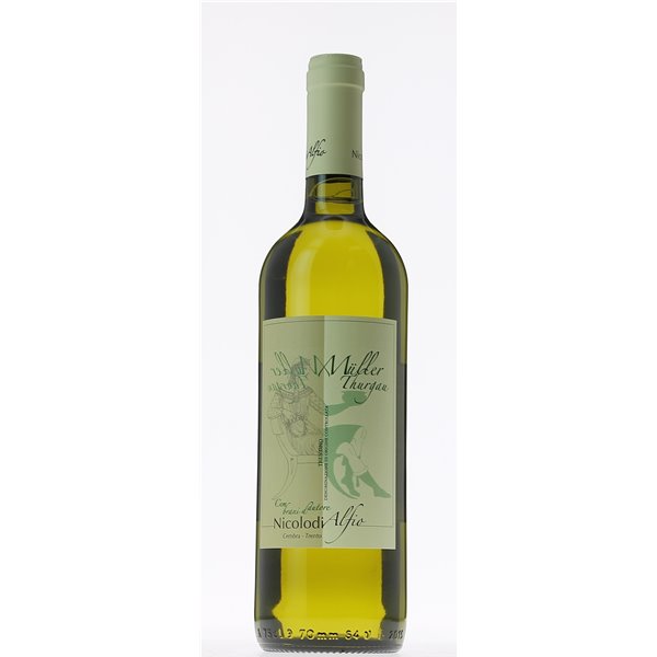 Muller Thurgau di Cembra 2020 Nicolodi Alfio