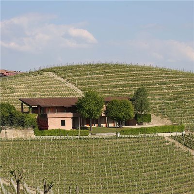 Langhe D.O.C. Arneis Blangé 2017 Ceretto Langhe D.O.C. Arneis Blangé 2017 Ceretto