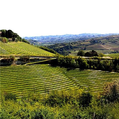 Langhe D.O.C. Arneis Blangé 2017 Ceretto Langhe D.O.C. Arneis Blangé 2017 Ceretto