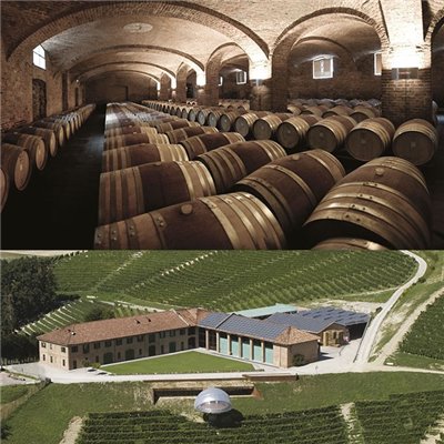 Langhe D.O.C. Arneis Blangé 2017 Ceretto Langhe D.O.C. Arneis Blangé 2017 Ceretto