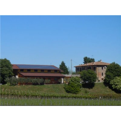 Bianco di Custoza D.O.P. 2017 Bergamini