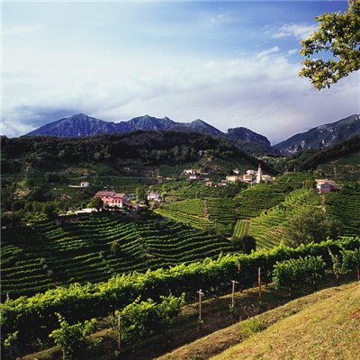 Prosecco Superiore di Valdobbiadene DOCG Jeio Colmei Bisol