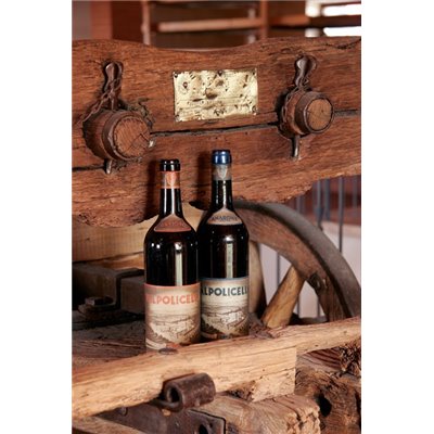 Valpolicella Doc Classico Superiore Verjago 2021- Domini Veneti Valpolicella Doc Classico Superiore Verjago 2021- Domini Veneti