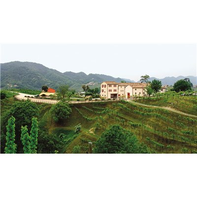 Valdobbiadene Prosecco Superiore D.O.C.G. – EXD – Spumante Extra Dry Duca di Dolle Valdobbiadene Prosecco Superiore D.O.C.G. – EXD – Spumante Extra Dry Duca di Dolle