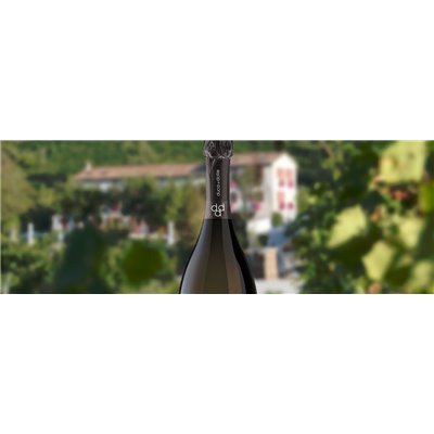 Valdobbiadene Prosecco Superiore D.O.C.G. – BRT – Spumante Brut Duca di Dolle Valdobbiadene Prosecco Superiore D.O.C.G. – BRT – Spumante Brut Duca di Dolle