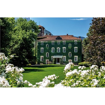 Vette di San Leonardo Sauvignon Blanc 2018 Tenuta San Leonardo Vette di San Leonardo Sauvignon Blanc 2018 Tenuta San Leonardo