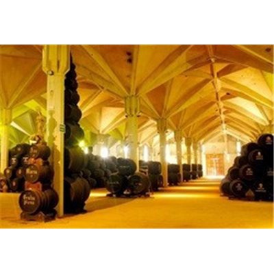 BRANDY 1877 SOLERA RESERVA 3 bottiglie da 0,70 l. - WILLIAMS & HUMBERT - m