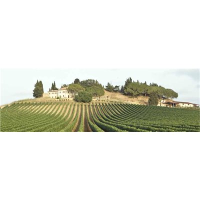 VALDOBBIADENE PROSECCO SUPERIORE DOCG EXTRA DRY - COL DE SALICI VALDOBBIADENE PROSECCO SUPERIORE DOCG EXTRA DRY - COL DE SALICI