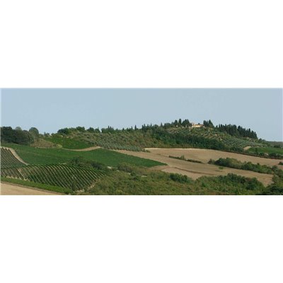 Chianti Classico Riserva Viacosta Docg 2015 Fattoria di Rodano Chianti Classico Riserva Viacosta Docg 2015 Fattoria di Rodano