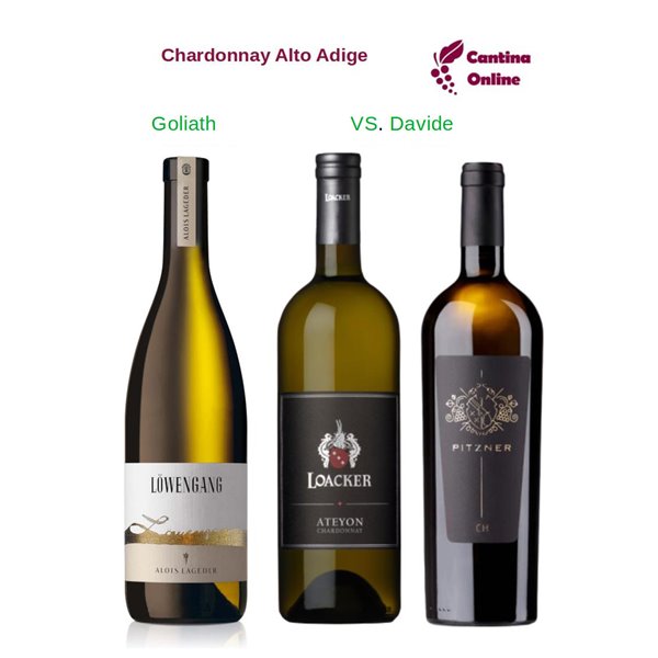 Davide VS. Goliath    Chardonnay Alto Adige   Riserva  3 x 0,75 L.
