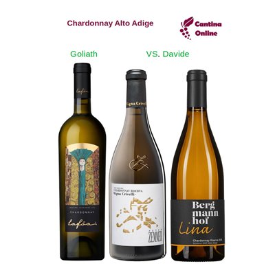 Davide VS. Goliath Chardonnay Alto Adige 3 x 0,75 L. Davide VS. Goliath Chardonnay Alto Adige 3 x 0,75 L.