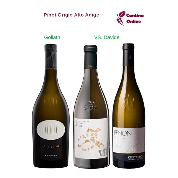Davide VS. Goliath  - Pinot Grigio  Alto Adige  - 3 x 0,75 L.
