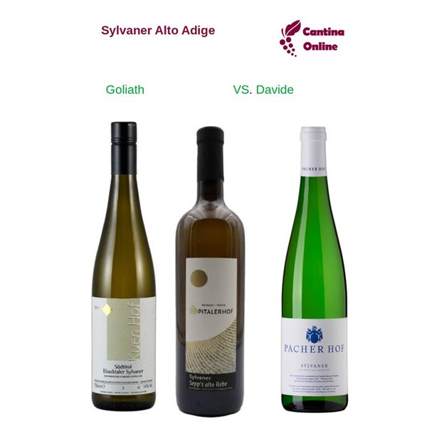 Davide VS. Goliath  -  Sylvaner  Alto Adige  - 3 x 0,75 L.