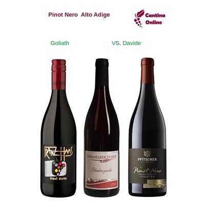 Davide VS. Goliath  -   Pinot Nero  Alto Adige  - 3 x 0,75 L.