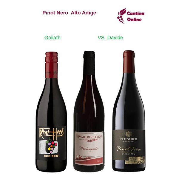 Davide VS. Goliath  -   Pinot Nero  Alto Adige  - 3 x 0,75 L.