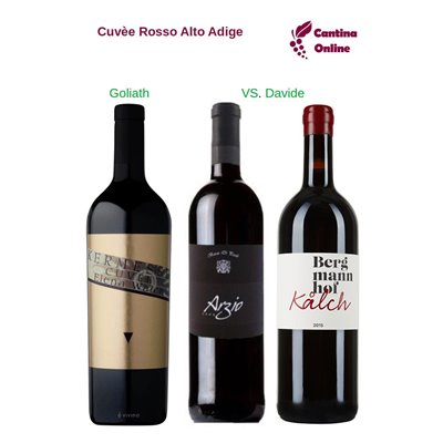 Davide VS. Goliath  -    Cuvèe Rosso  Alto Adige  - 3 x 0,75 L.