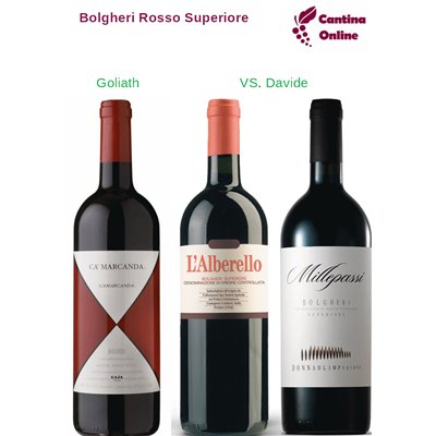 Davide VS. Goliath - Bolgheri Rosso Superiore - 3 x 0,75 L. Davide VS. Goliath - Bolgheri Rosso Superiore - 3 x 0,75 L.