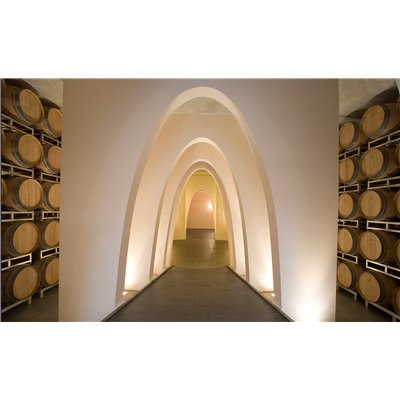 Brunello di Montalcino Docg 2012 Castel giocondo - Frescobaldi Brunello di Montalcino Docg 2012 Castel giocondo - Frescobaldi