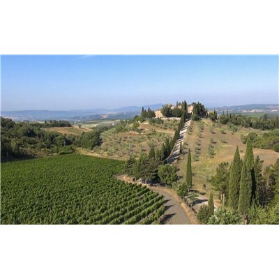 Brunello di Montalcino Docg 2012 Castel giocondo - Frescobaldi Brunello di Montalcino Docg 2012 Castel giocondo - Frescobaldi