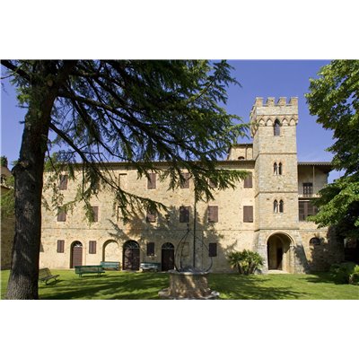 Brunello di Montalcino Docg 2012 Castel giocondo - Frescobaldi Brunello di Montalcino Docg 2012 Castel giocondo - Frescobaldi