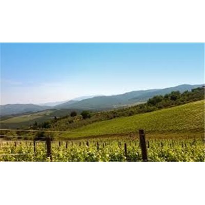 VILLA ANTINORI BIANCO Toscana IGT 2015 Antinori VILLA ANTINORI BIANCO Toscana IGT 2015 Antinori