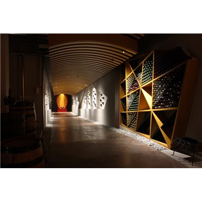 Amarone della Valpolicella DOCG Classico 2009 Quintarelli Amarone della Valpolicella DOCG Classico 2009 Quintarelli