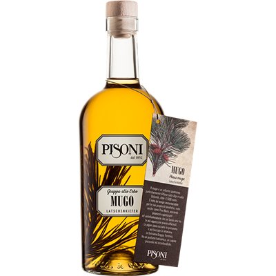 Distilleria Pisoni - Grappa Mugo 70cl 40° Distilleria Pisoni - Grappa Mugo 70cl 40°