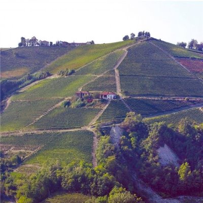 Az. Agr. Pelissero - Barbaresco DOCG Vanotu 2018 0,75 L. Az. Agr. Pelissero - Barbaresco DOCG Vanotu 2018 0,75 L.