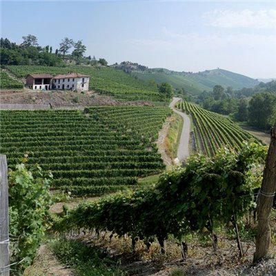 Az. Agr. Pelissero - Barbaresco DOCG Vanotu 2018 0,75 L. Az. Agr. Pelissero - Barbaresco DOCG Vanotu 2018 0,75 L.