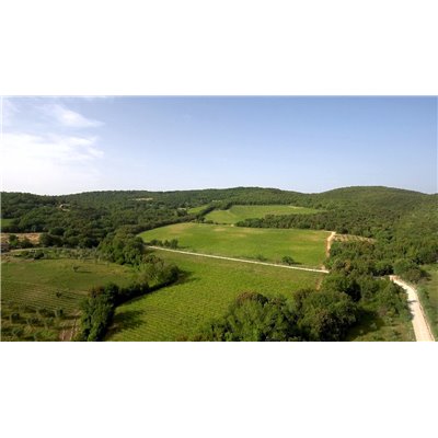 Az. Agr. Lisini - Rosso di Montalcino DOC 2020 0,750 L. Az. Agr. Lisini - Rosso di Montalcino DOC 2020 0,750 L.
