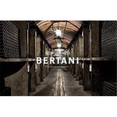 Cantine Bertani - Ognisanti di Novare Valpolicella Classico Superiore DOC 2020 Cantine Bertani - Ognisanti di Novare Valpolicella Classico Superiore DOC 2020