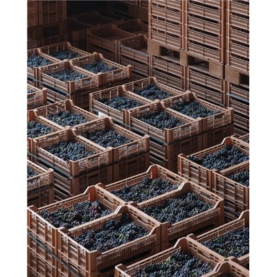 Valpolicella Classico D.O.C 2021 - Allegrini 0,7 L. Valpolicella Classico D.O.C 2021 - Allegrini 0,7 L.