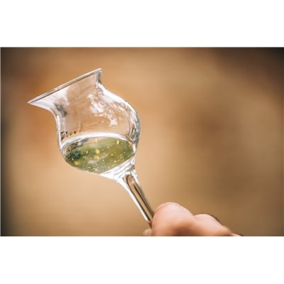 Mazzetti - Oro Di Mazzetti ® 30 ° Mazzetti D'Altavilla 0,50 L. Mazzetti - Oro Di Mazzetti ® 30 ° Mazzetti D'Altavilla 0,50 L.