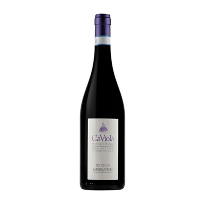 CA VIOLA Barbera d'Alba BRIC DU LUV 2021 cl.75 15.5%