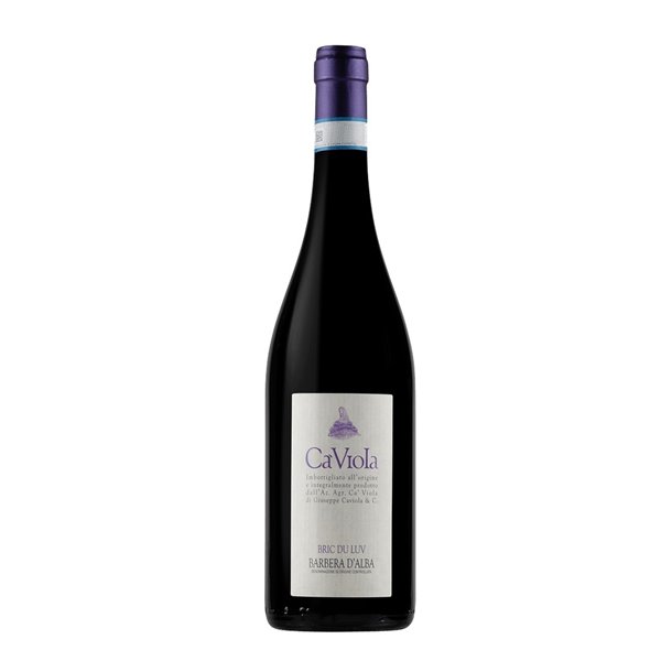 CA VIOLA Barbera d'Alba BRIC DU LUV 2021 cl.75 15.5%