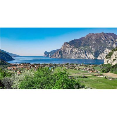 Madonna delle Vittorie - Summo Laco 2021 0.75 L Madonna delle Vittorie - Summo Laco 2021 0.75 L