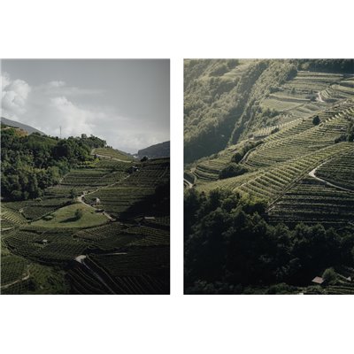 Distilleria Pilzer - Grappa Nosiola 43 ° - 0.70 L. Distilleria Pilzer - Grappa Nosiola 43 ° - 0.70 L.