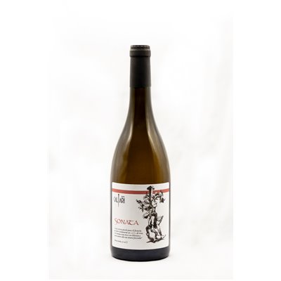 Sonata  - Souvignier Gris macerato anfora