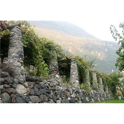 Cave De Donnas - Donnas 2019 0,750 L. Cave De Donnas - Donnas 2019 0,750 L.
