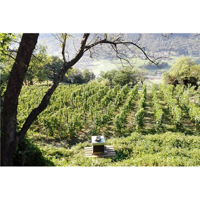 La Vrille - Fumin 2017 0,750 L. La Vrille - Fumin 2017 0,750 L.