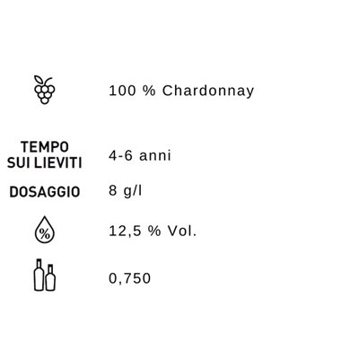 Champagne Haton Blanc de Blancs (75cl 12.5%) -on Champagne Haton Blanc de Blancs (75cl 12.5%) -on
