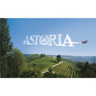 PROSECCO DOC TREVISO “GAGGIANDRE” Vino spumante CERTIFICATO BIOLOGICO Astoria Vini PROSECCO DOC TREVISO “GAGGIANDRE” Vino spumante CERTIFICATO BIOLOGICO Astoria Vini