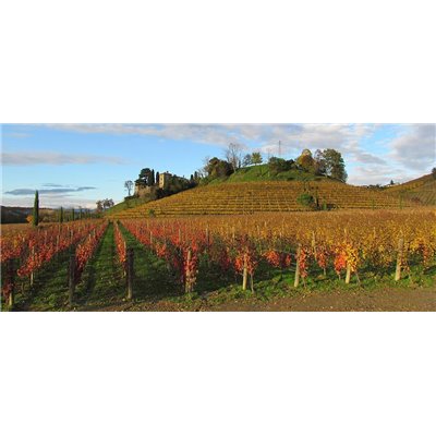Ribolla Gialla Vinnae 2016 Jermann Ribolla Gialla Vinnae 2016 Jermann
