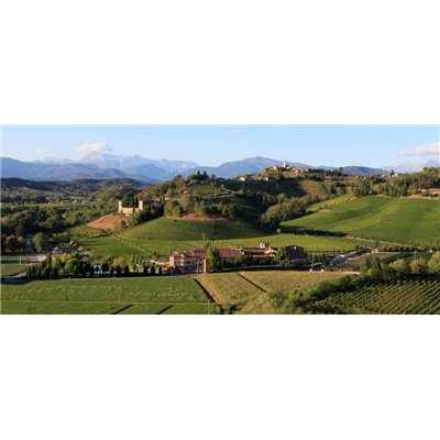 sauvignon 2016 Jermann sauvignon 2016 Jermann