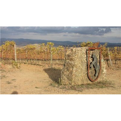 Brunello di Montalcino 2012 Conti Costanti Brunello di Montalcino 2012 Conti Costanti