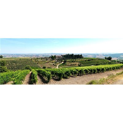 Brunello di Montalcino 2012 Conti Costanti Brunello di Montalcino 2012 Conti Costanti