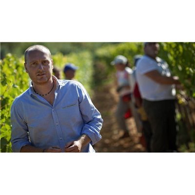 Brunello di Montalcino 2012 Talenti Brunello di Montalcino 2012 Talenti