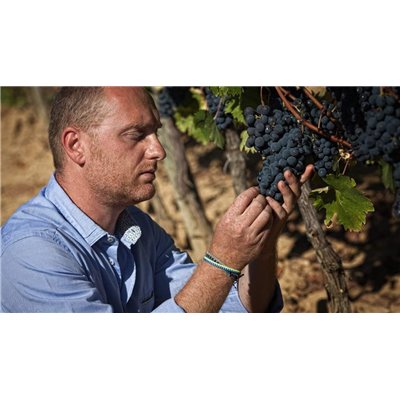 Brunello di Montalcino 2012 Talenti Brunello di Montalcino 2012 Talenti