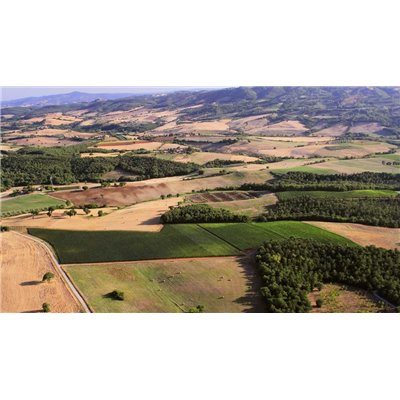 Brunello di Montalcino 2012 Talenti Brunello di Montalcino 2012 Talenti